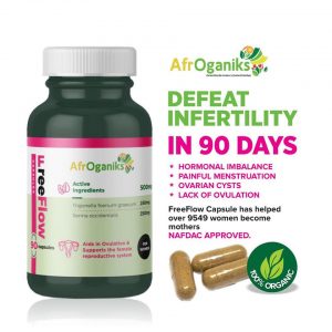Read more about the article Defeat Infertility in 90 Days