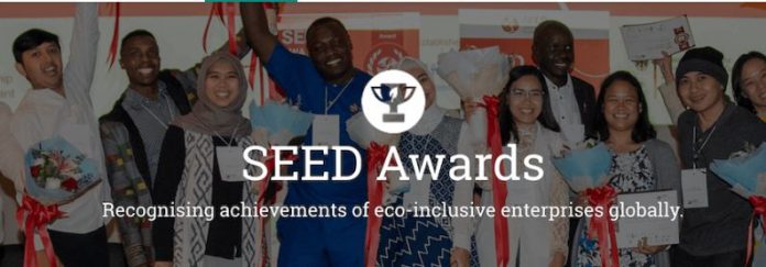 You are currently viewing Call for Applications: The SEED Awards 2021 for Entrepreneurship