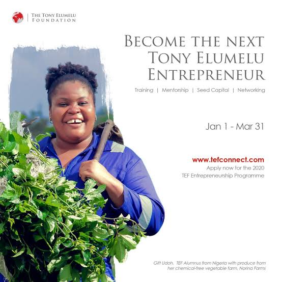 You are currently viewing THE 7TH EDITION OF THE TONY ELUMELU FOUNDATION ENTREPRENEURSHIP PROGRAMME (2021