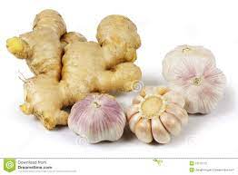 Read more about the article LIFESTYLES- HEALTHY BENEFITS OF GINGER AND GARLIC.