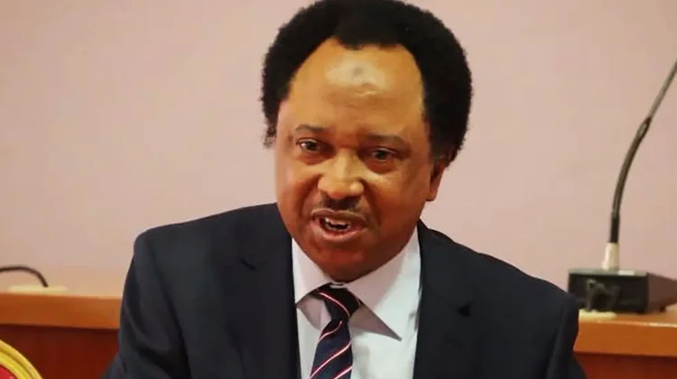 You are currently viewing Insecurity: Some Abuja schools have told students to stay at home, says Shehu Sani