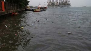 Read more about the article LASWA begins clearing of water hyacinth on Lagos Waterways