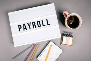 Read more about the article 6 best payroll options for small business owners.